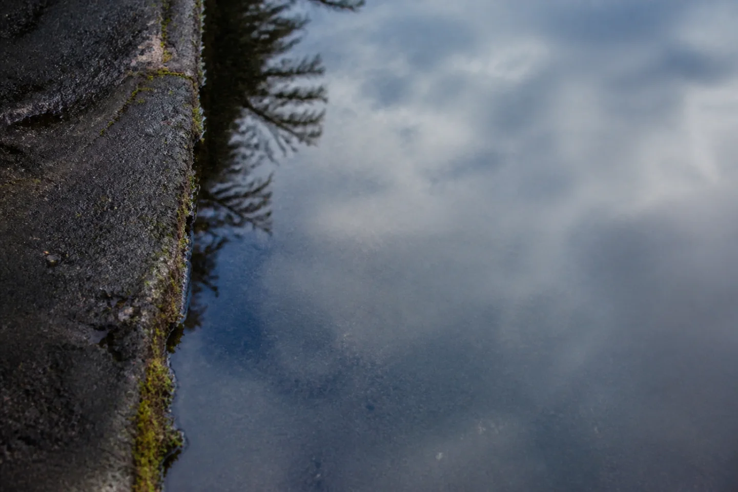 Rainwater reflecting the sky beside a pavement edge.